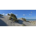 Burgh Haamstede duinen strand  zee Fotowand  fotobehang wanddecoratie muurposter natuurfoto natuurfotowand gerard veerling 