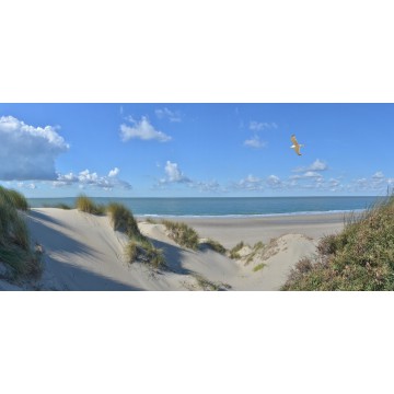 Burgh Haamstede duinen zee en strand Fotowand  fotobehang wanddecoratie muurposter natuurfoto natuurfotowand gerard veerling  Burgh Haamstede duinen zee en strand Fotowand  fotobehang wanddecoratie muurposter natuurfoto natuurfotowand gerard veerling