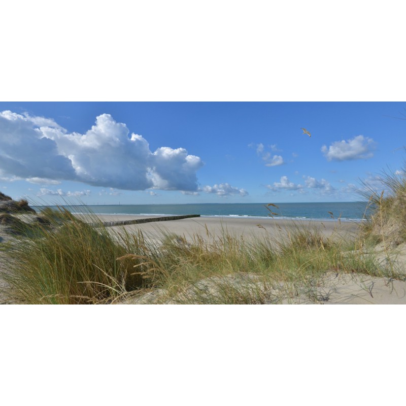 gevechten Pellen String string Fotowand Burgh Haamstede zee en strand. Grote keuze natuur fotobehang