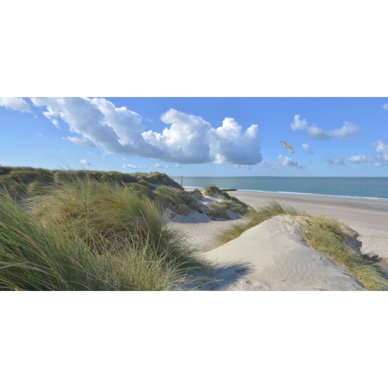 Burgh haamstede duinen strand en zee Fotowand wanddecoratie fotobehang muurposter natuurfoto natuurfotowand gerard veerling 