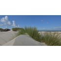 Fotowand Burgh Haamstede zee duinen en strand Fotowand wanddecoratie fotobehang muurposter natuurfoto natuurfotowand gerard veer