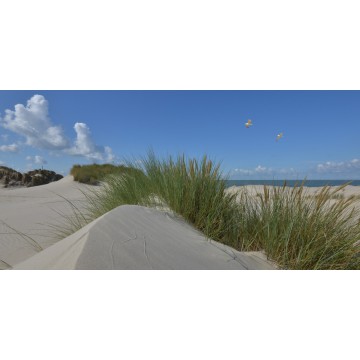 Fotowand Burgh Haamstede zee duinen en strand Fotowand wanddecoratie fotobehang muurposter natuurfoto natuurfotowand gerard veer Fotowand Burgh Haamstede zee duinen en strand Fotowand wanddecoratie fotobehang muurposter natuurfoto natuurfotowand gerard veer