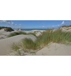 Download Strand kust decoraties Free