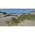 Burgh Haamstede zee duinen en strand Fotowand wanddecoratie fotobehang muurposter natuurfoto natuurfotowand gerard veerling