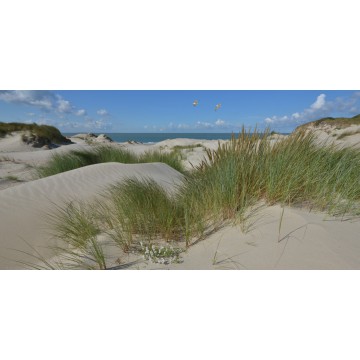 Burgh Haamstede zee duinen en strand Fotowand wanddecoratie fotobehang muurposter natuurfoto natuurfotowand gerard veerling Burgh Haamstede zee duinen en strand Fotowand wanddecoratie fotobehang muurposter natuurfoto natuurfotowand gerard veerling
