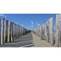 Burgh Haamstede strandpalen zee strand Fotowand wanddecoratie fotobehang muurposter natuurfoto natuurfotowand gerard veerling