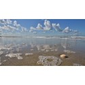 strand zee fotowand wanddecoratie fotobehang muurposter natuurfoto natuurfotowand gerard veerling fotowandenshop