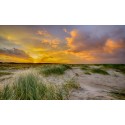 Fotobehang fotowand zee strand en duinen 