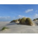 fotobehang strand en duinen Schiermonnikoog Fotowand wanddecoratie muurposter natuurfoto natuurfotowand gerard veerling fotowand