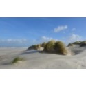 fotobehang zee strand duinen Schiermonnikoog Fotowand wanddecoratie muurposter natuurfoto natuurfotowand veerling fotowandenshop