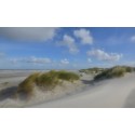 fotobehang zee strand en duinen Schiermonnikoog fotobehangmarkt.nl