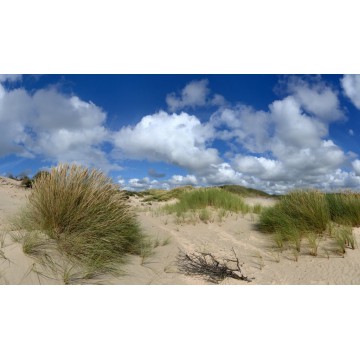  Fotowand duinen wanddecoratie fotobehang muurposter natuurfoto natuurfotowand gerard veerling fotowandenshop.nl