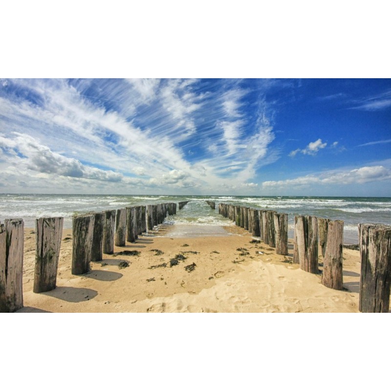 Beven speel piano Huisdieren Fotowand strandpalen. Grote keuze fotobehang Nederlandse zee en strand