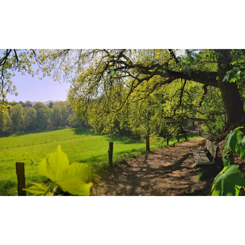 fotowand glooiend weide landschap bij Nijmegen fotowandenshop.nl