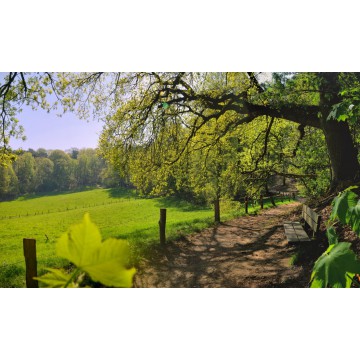 fotowand glooiend weide landschap bij Nijmegen fotowandenshop.nl