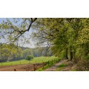 glooiend landschap Nijmegen  Fotowand wanddecoratie fotobehang muurposter natuurfoto natuurfotowand gerard veerling 