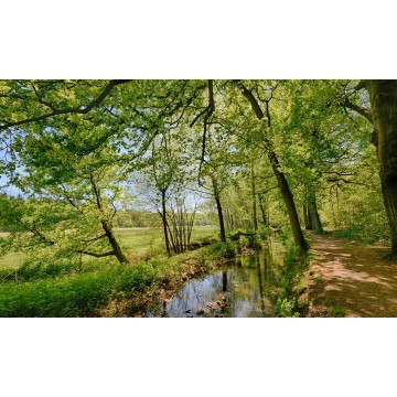 Fotowand Molenbeek met uitzicht op de weilanden Fotowand Molenbeek met uitzicht op de weilanden