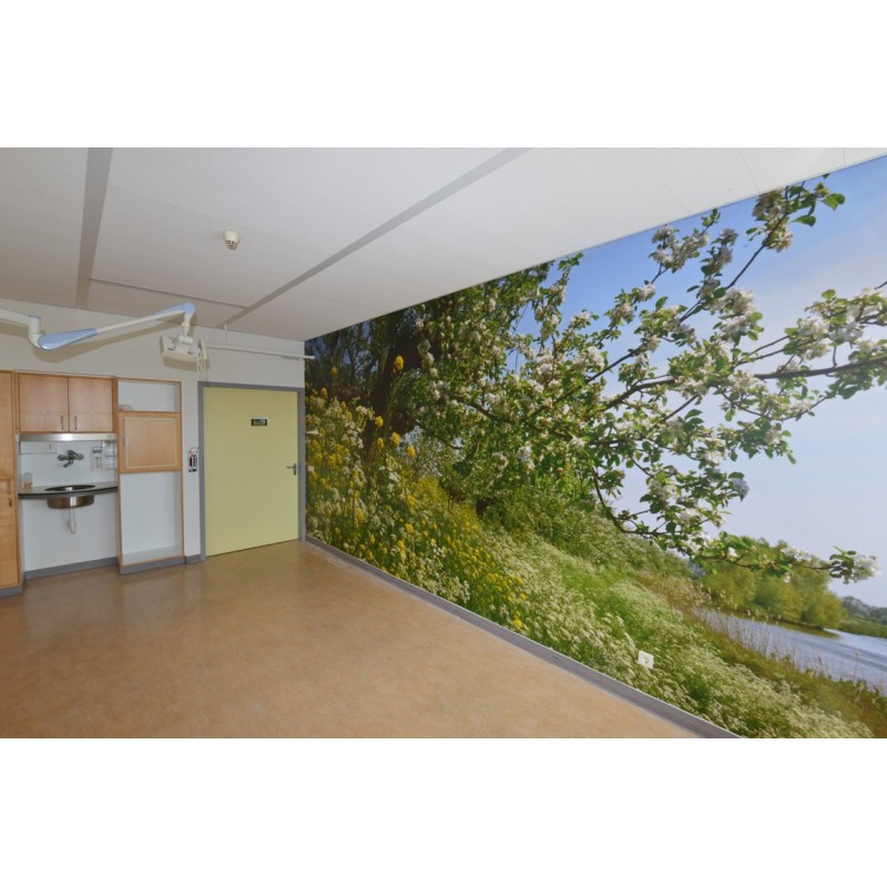 Fotowand fotobehang ziekenhuis patientenkamer healing environment