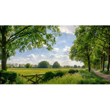 Fotowand fotobehang boerenhek in weiland 's Heerenberg. fotowandenshop.nl  Fotowand fotobehang boerenhek in weiland 's Heerenberg. fotowandenshop.nl