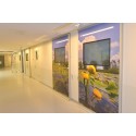 natuurfoto's op deuren intensive care ziekenhuis healing environment gerard veerling fotowandenshop.nl