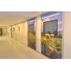 natuurfoto's op deuren intensive care ziekenhuis healing environment gerard veerling fotowandenshop.nl