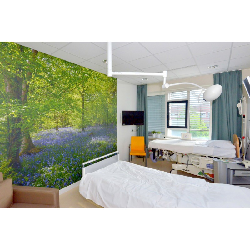 bos met blauwe Lelies  Fotowand ziekenhuis kraamkamer verloskamer wanddecoratie fotobehang muurposter natuurfoto natuurfotowand 