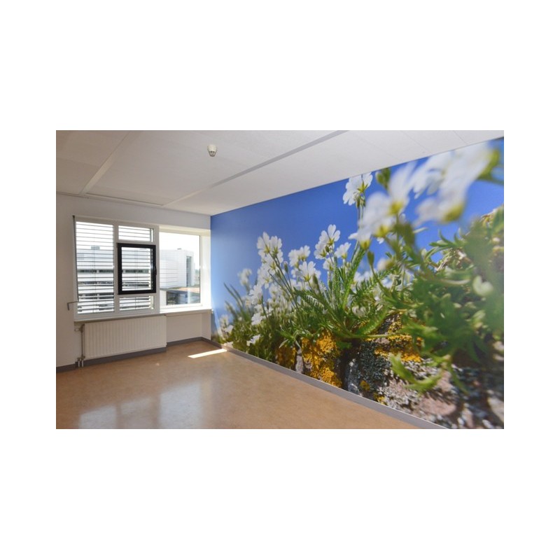 Rustgevende natuur fotowand fotobehang ziekenhuis patientenkamer healing environment