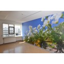 Rustgevende natuur fotowand fotobehang ziekenhuis patientenkamer healing environment