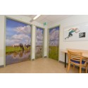 fotodeuren natuurfoto's op deuren van wachtkamer radiologie ziekenhuis 