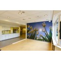 Fotowand van witte Tulpen wachtkamer ziekenhuis healing environment