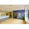 Fotowand van witte Tulpen wachtkamer ziekenhuis healing environment
