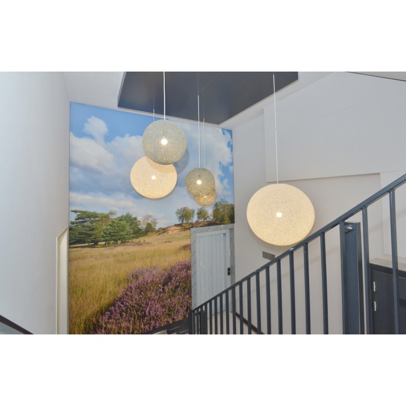 Veluws landschap akoestiekwand hal kantoor  Fotowand wanddecoratie fotobehang muurposter natuurfoto natuurfotowand 