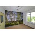 Bos Veluwe Fotowand wanddecoratie fotobehang muurposter natuurfoto ziekenhuis gerard veerling fotowandenshop.nl