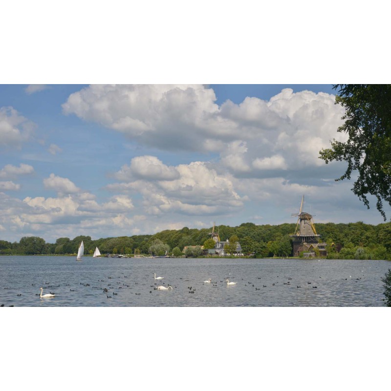 Kralingse Plas Rotterdam Fotowand wanddecoratie fotobehang muurposter natuurfoto natuurfotowand gerard veerling fotowa