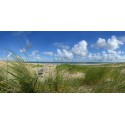 fotowand of fotobehang van bankje in de duinen van Vlieland