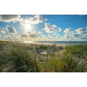 fotobehang of fotowand van Bankje in de Duinen van Vlieland