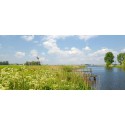Fotowand of fotobehang Langweer Friesland hek in weiland