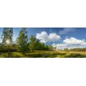 Fotowand fotobehang muurposter heide op de Veluwe Ede Otterlo Planken Wambuis