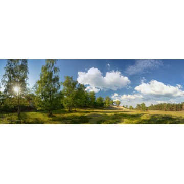 Fotowand fotobehang muurposter heide op de Veluwe Ede Otterlo Planken Wambuis Fotowand fotobehang muurposter heide op de Veluwe Ede Otterlo Planken Wambuis