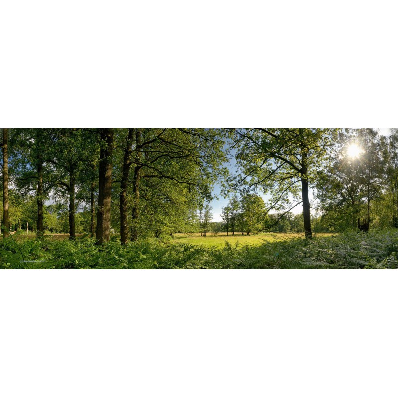 Fotowand fotobehang muurposter landgoed Mortelen Oirschot Brabantp