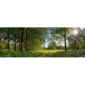 Fotowand fotobehang muurposter landgoed Mortelen Oirschot Brabantp