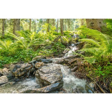 Fotowand fotobehang muurposter Oostenrijk Smarardtahl Fotowand fotobehang muurposter Oostenrijk Smarardtahl