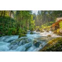 fotowand fotobehang muurposter Oostenrijk Gollingen waterval watermolen