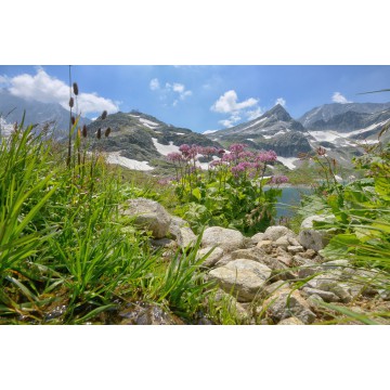 Fotowand fotobehang muurposter Alpen Oostenrijk Stubachtahl Fotowand fotobehang muurposter Alpen Oostenrijk Stubachtahl