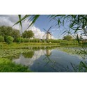 fotowand fotobehang muurposter Rotterdam Zuiderpark met molen