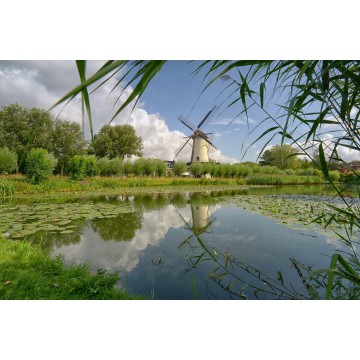fotowand fotobehang muurposter Rotterdam Zuiderpark met molen fotowand fotobehang muurposter Rotterdam Zuiderpark met molen