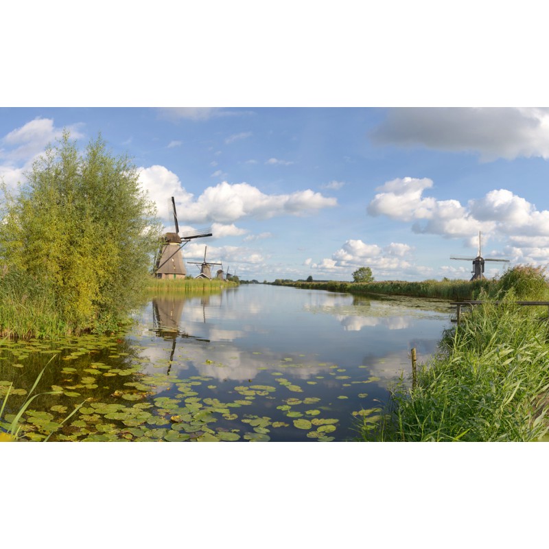 fotowand, fotobehang, muurposters molens Kinderdijk