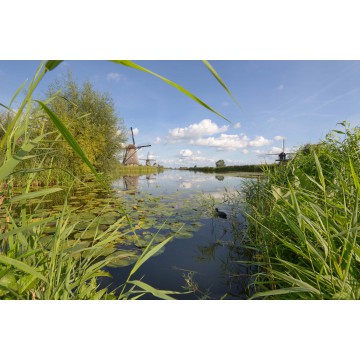 Fotowand, fotobehang, muurposter molens Kinderdijk Alblasserwaard Fotowand, fotobehang, muurposter molens Kinderdijk Alblasserwaard
