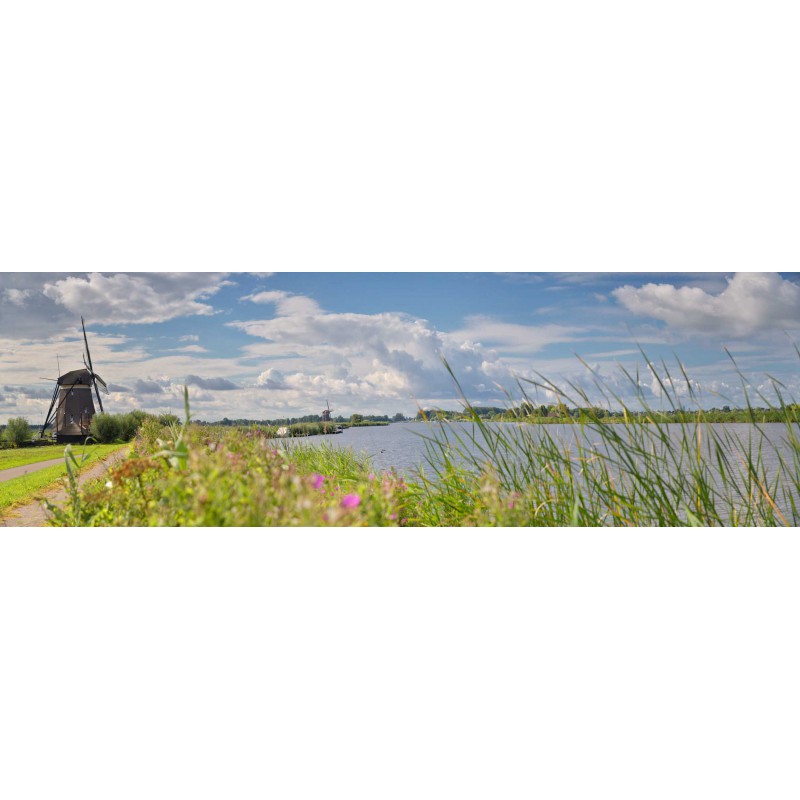 Fotowand, fotobehang, muurposter Molens langs de Rotte