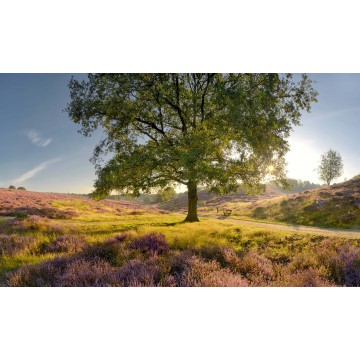 Posbank Rheden Panorama